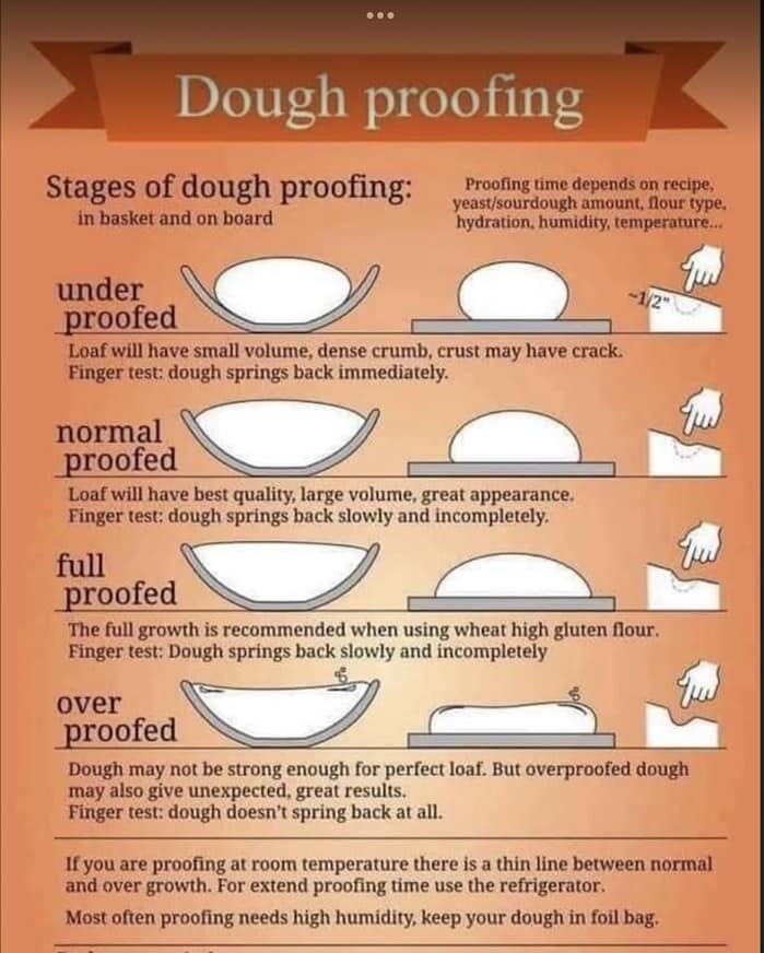 Dough Proofing Diagram - Whole Grain